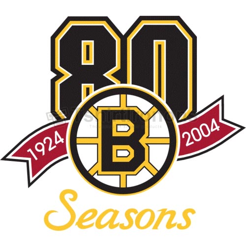 Boston Bruins T-shirts Iron On Transfers N73 - Click Image to Close